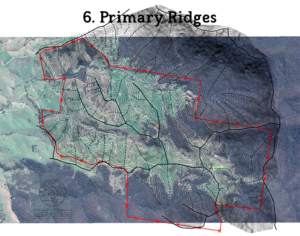 6-primary-ridges